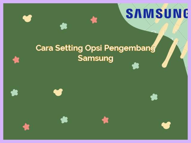 Cara Setting Opsi Pengembang Samsung