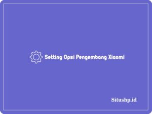 setting opsi pengembang Xiaomi