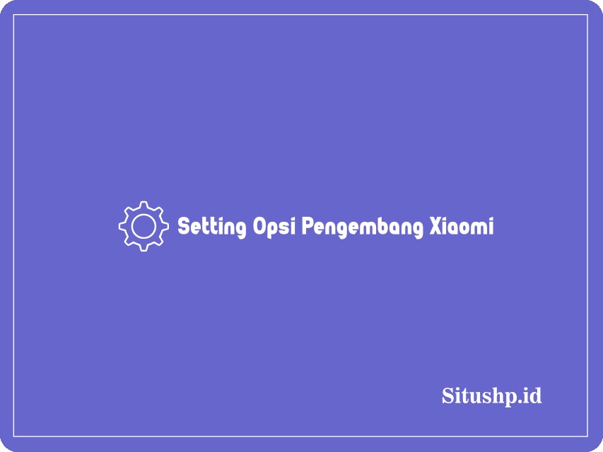 setting opsi pengembang Xiaomi