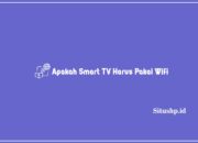 Apakah Smart TV Harus Pakai Wifi