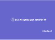 Cara Menghilangkan Jamur Di HP