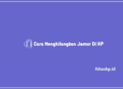 6 Cara Menghilangkan Jamur Di HP Terbaru 2024