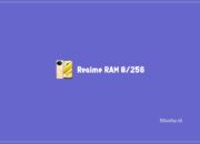 6 HP Realme RAM 8/256 Dengan Kamera Besar Yang Recommended