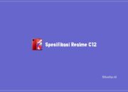 Spesifikasi Realme C12