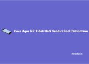 Cara Agar HP Tidak Mati Sendiri Saat Didiamkan