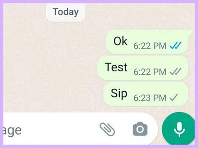 Cara Agar WA Centang 1 Tanpa Mematikan Data