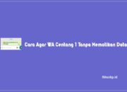 4+ Cara Agar WA Centang 1 Tanpa Mematikan Data Terampuh