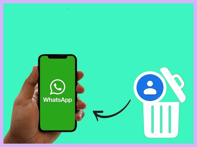 Cara Melihat Nomor WA Yang Sudah Dihapus Tanpa Aplikasi