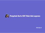 Penyebab Kartu SIM Tidak Ada Layanan